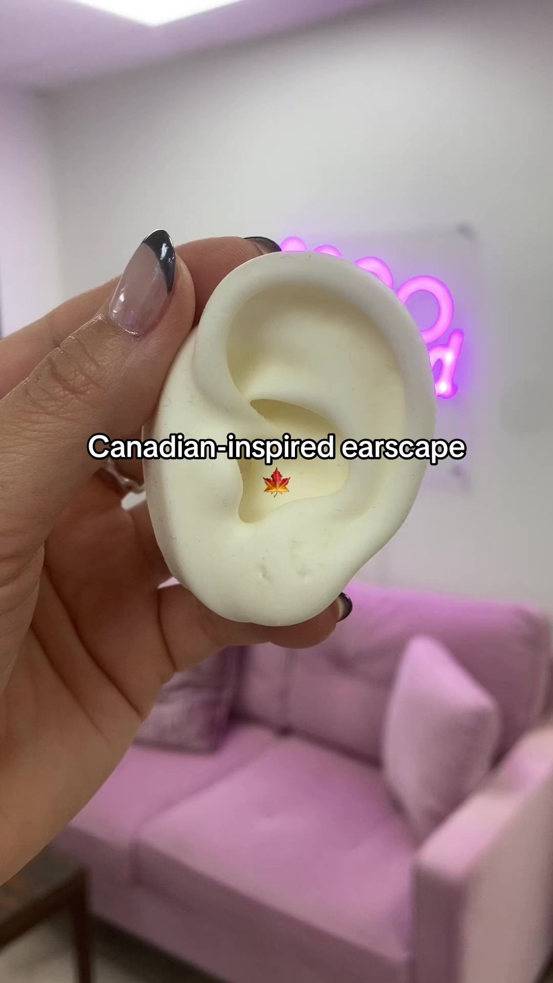 @The Curated Lobe