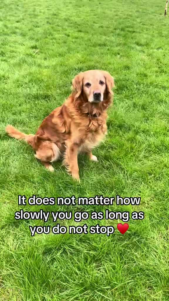 @Happy buddy