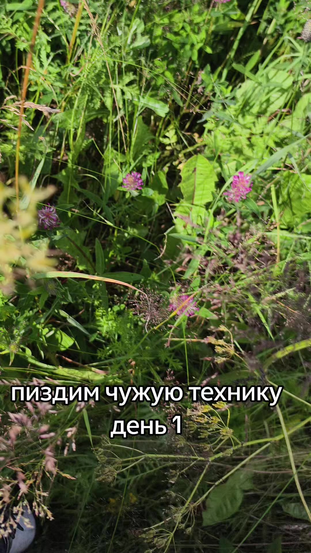 @Maks_Na_Kewse450