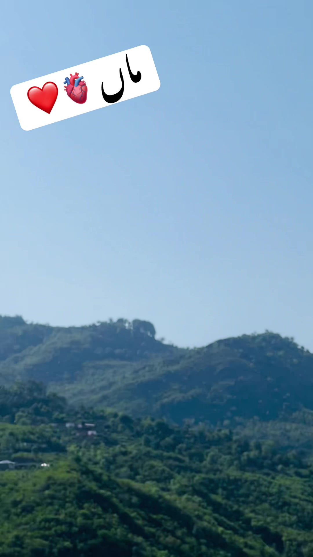 @نادان دل اعوان بادشاہ🦅👑🔥✌️