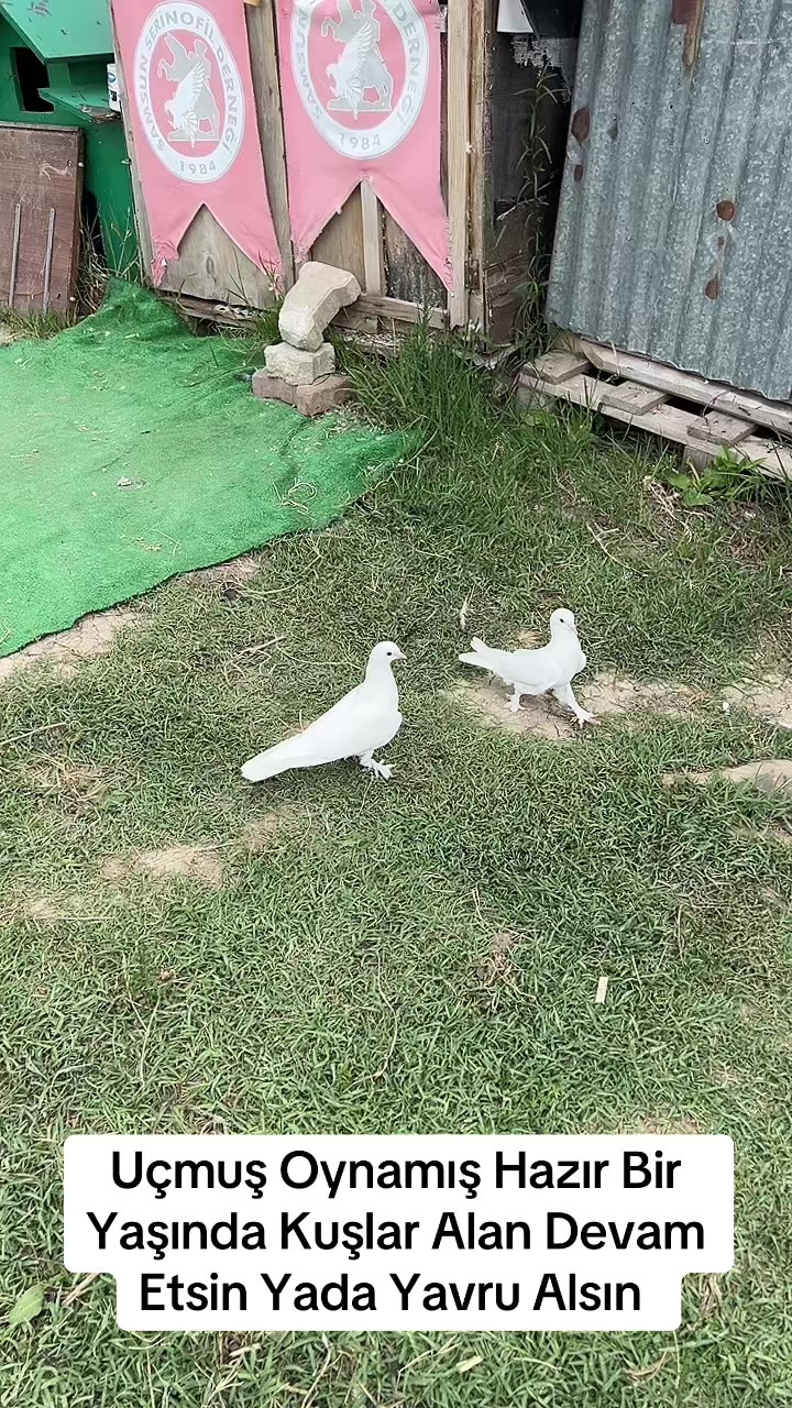 @Ufuk Ak&ccedil;ay MATADORLAR