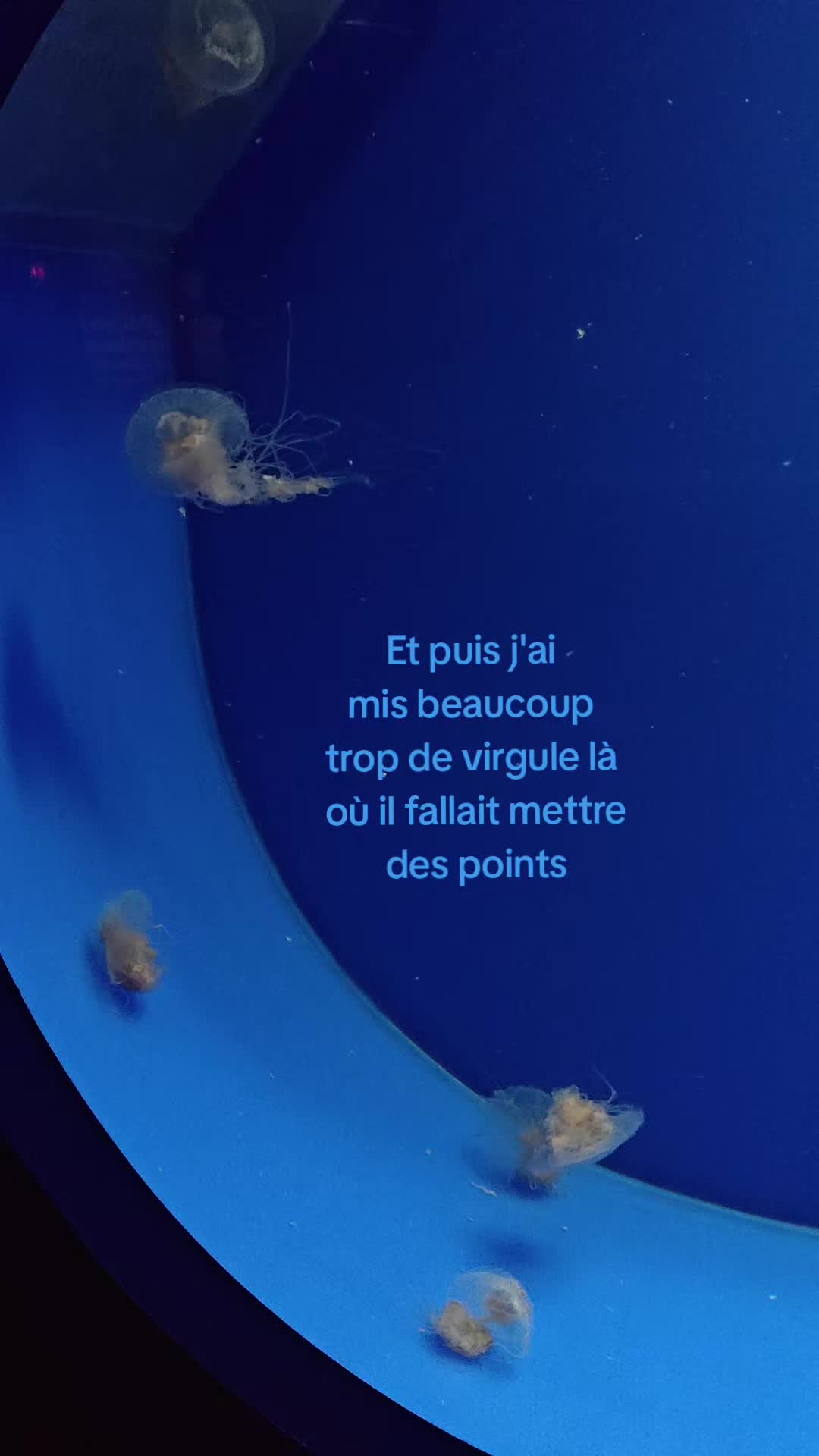 @💫Chloé💫