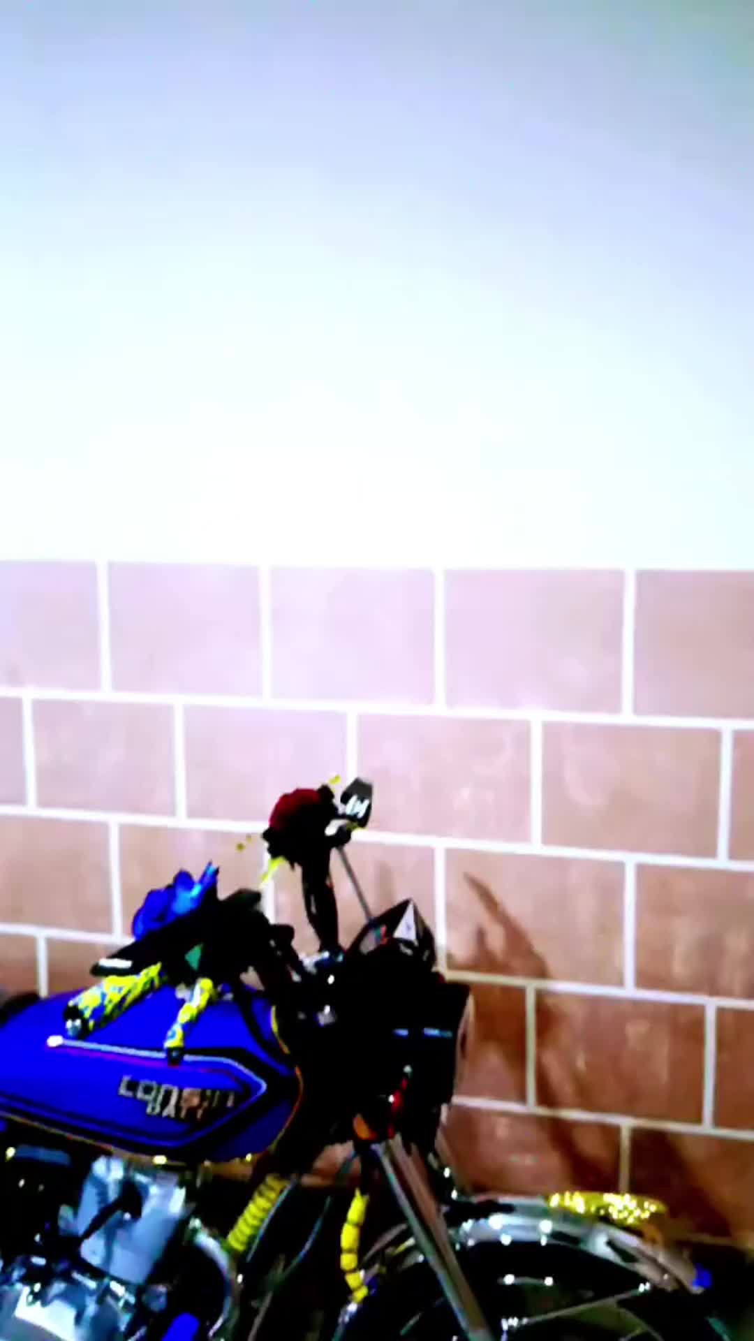 @عــلـوش الـحــمــوي🗽👑