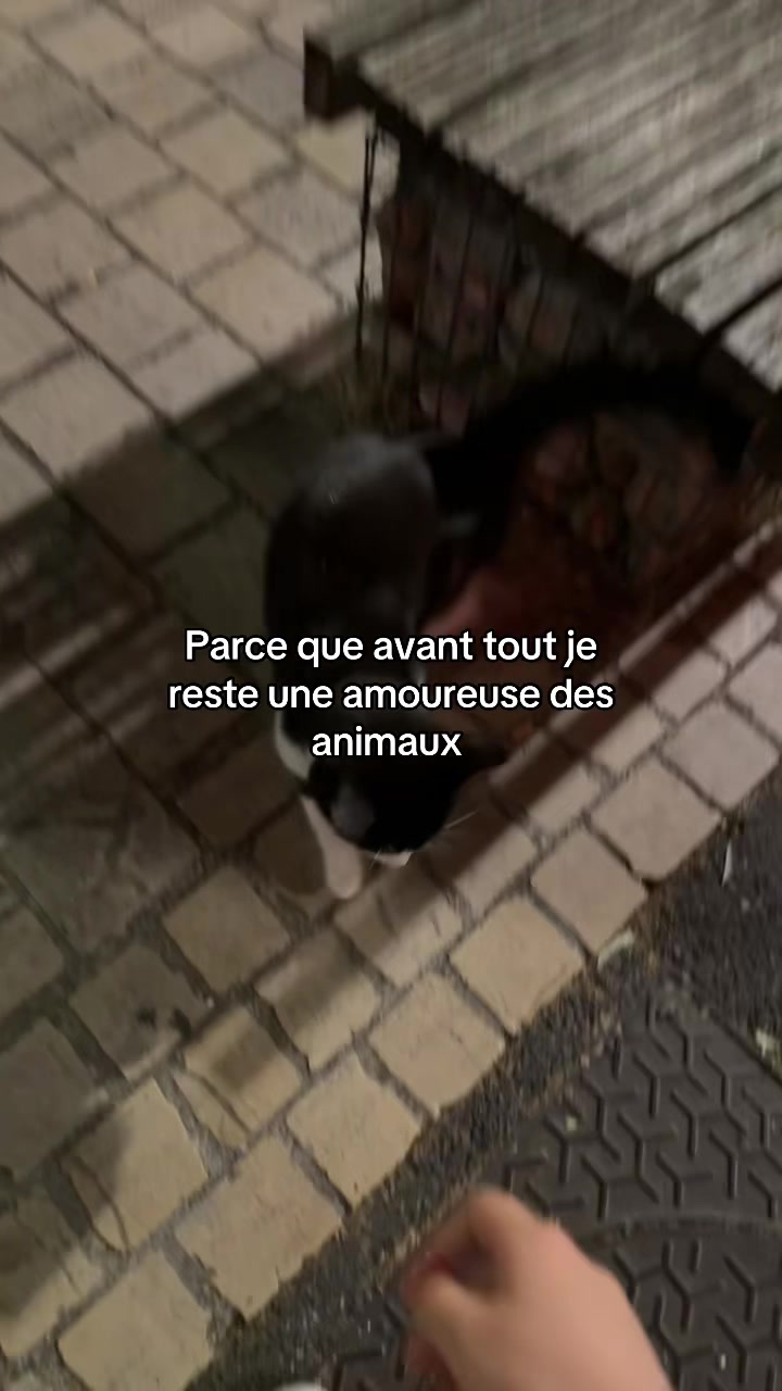 @๐๐