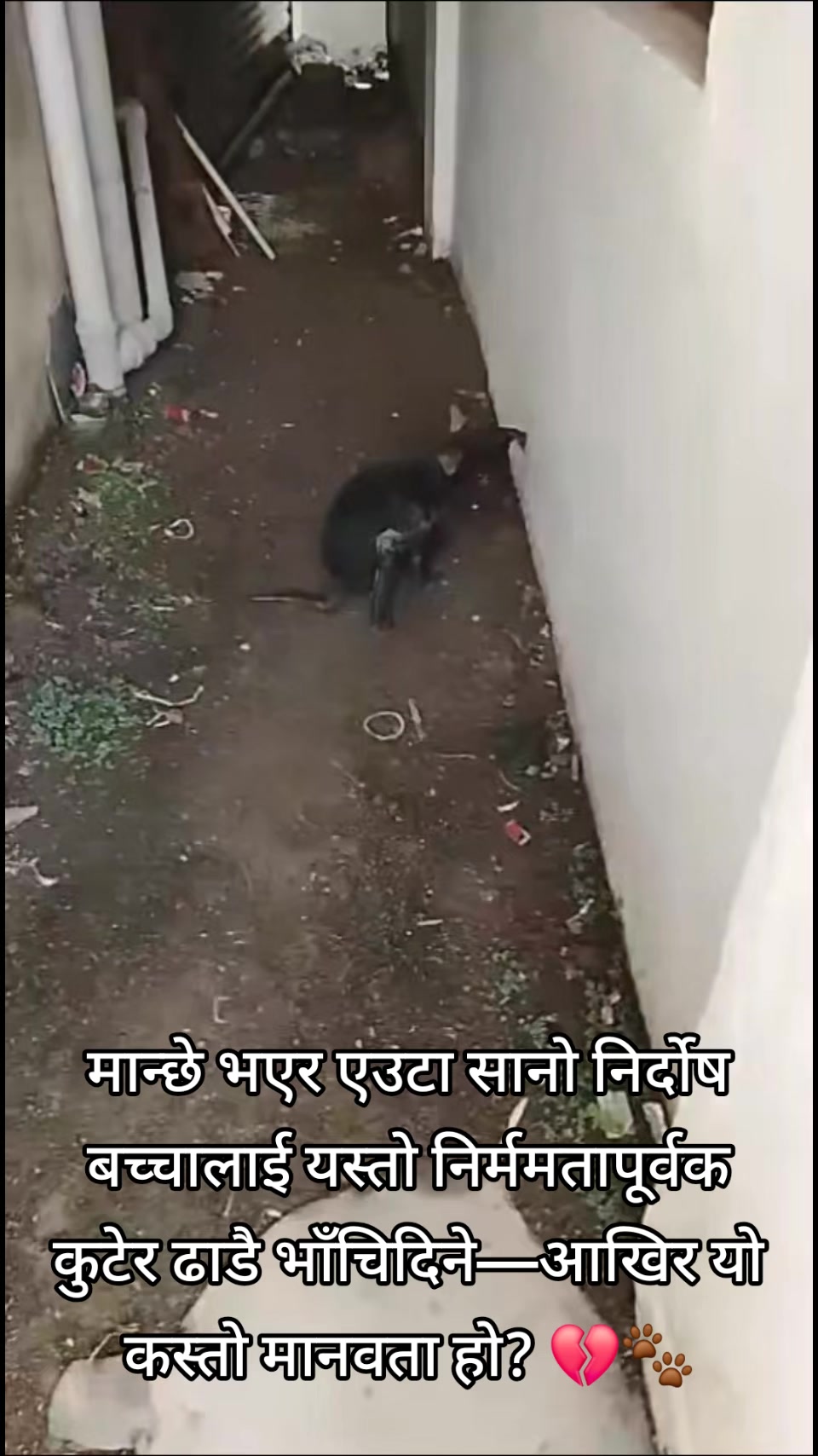 @Srijanathakuri