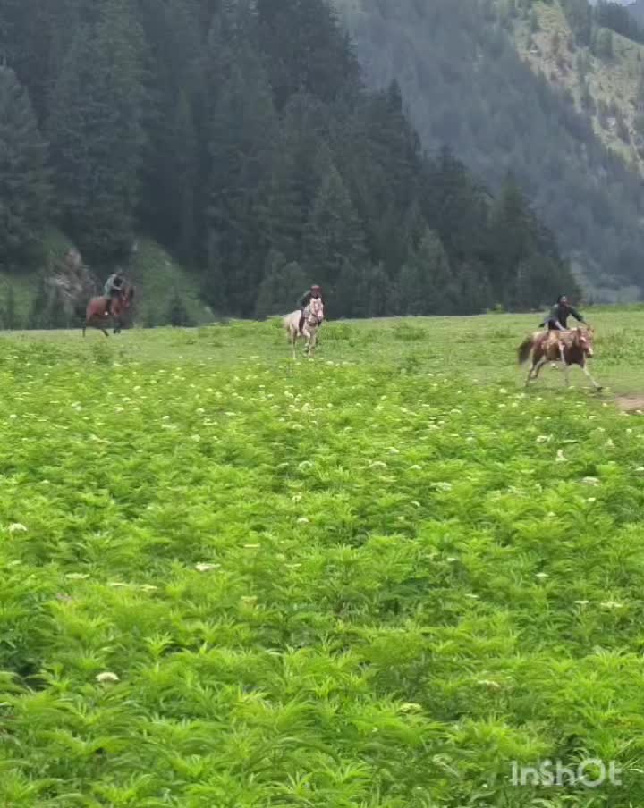 @Ahsanvista555