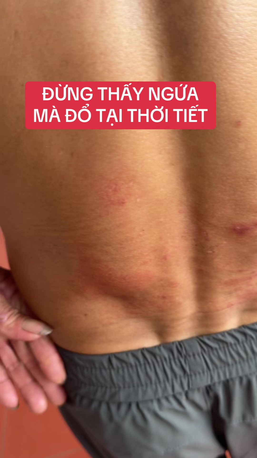 @suckhoevang98