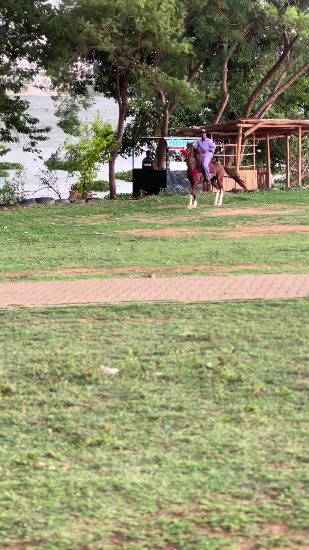@Abuja horse riders