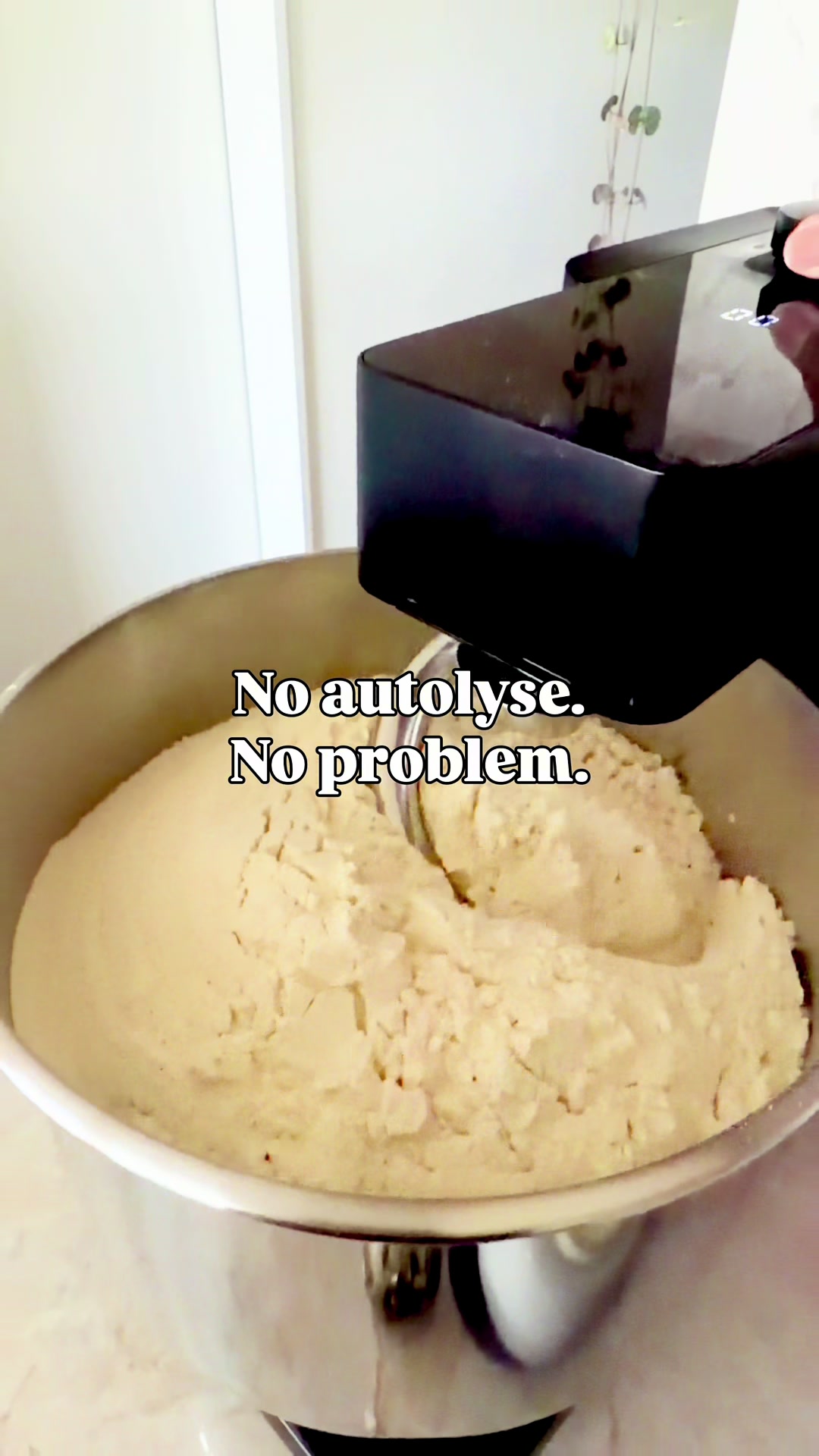 @Sourdough Wonders