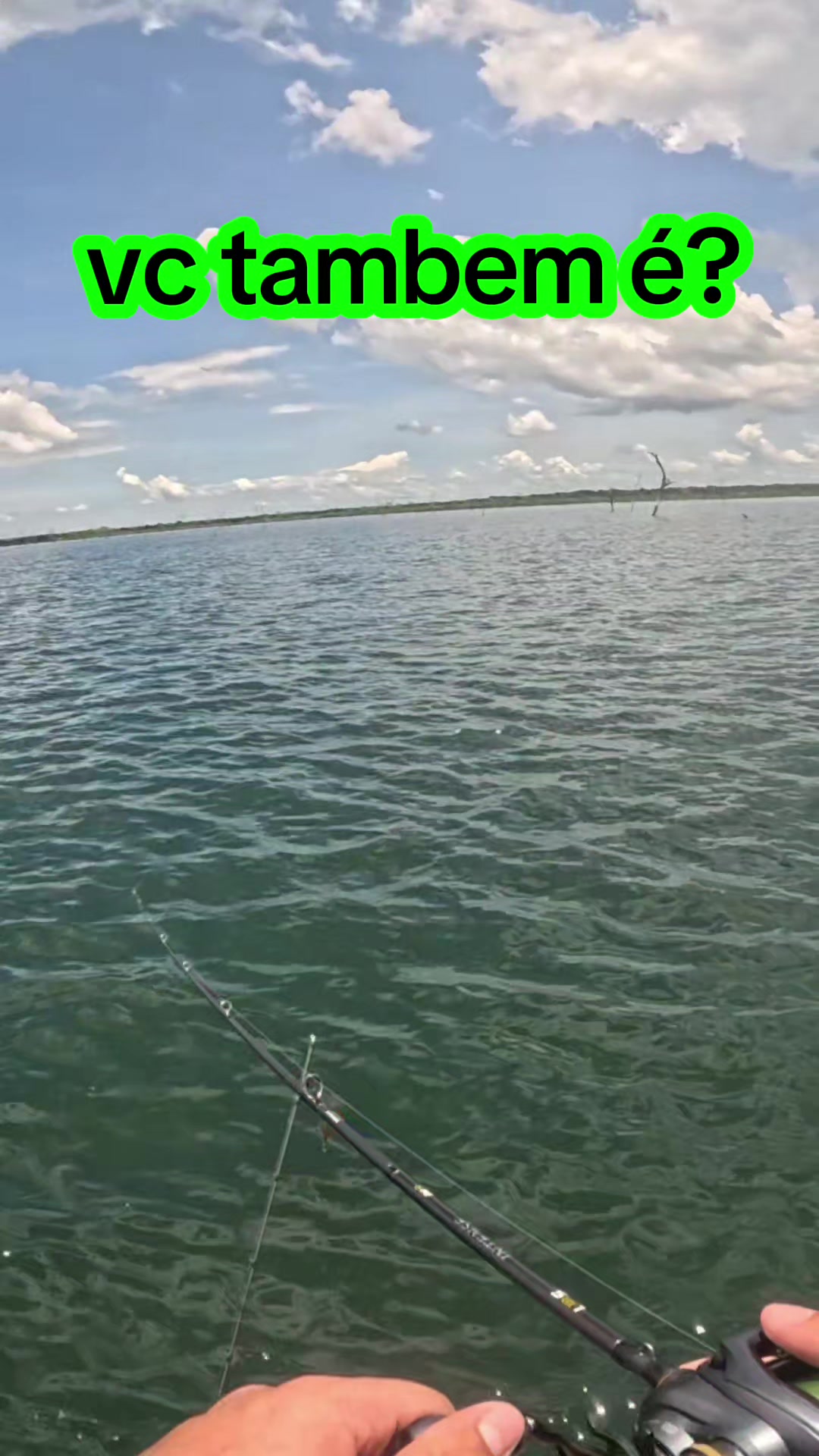@Brandino Fishing