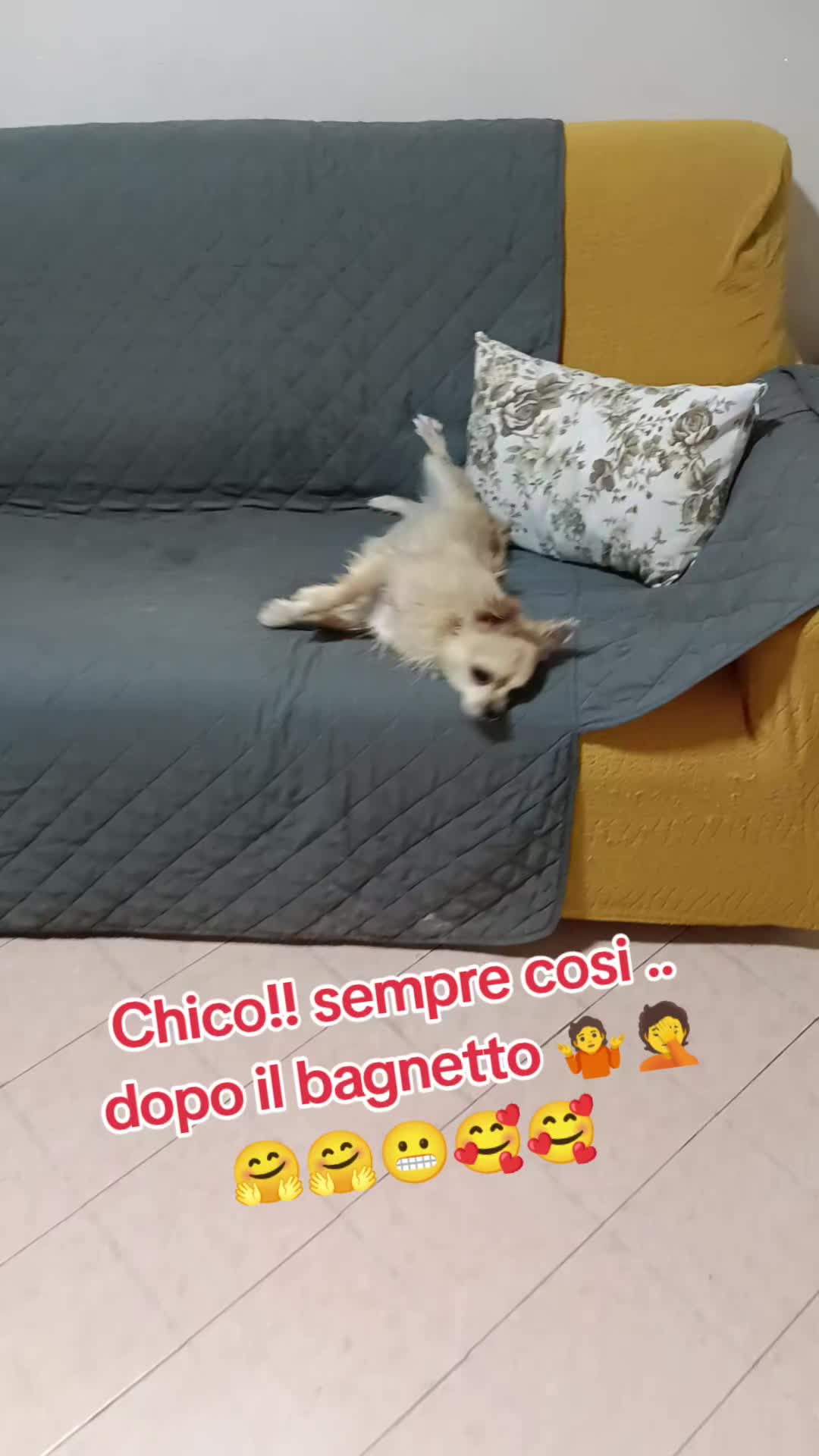 @ELE..meglio folli che noiosi