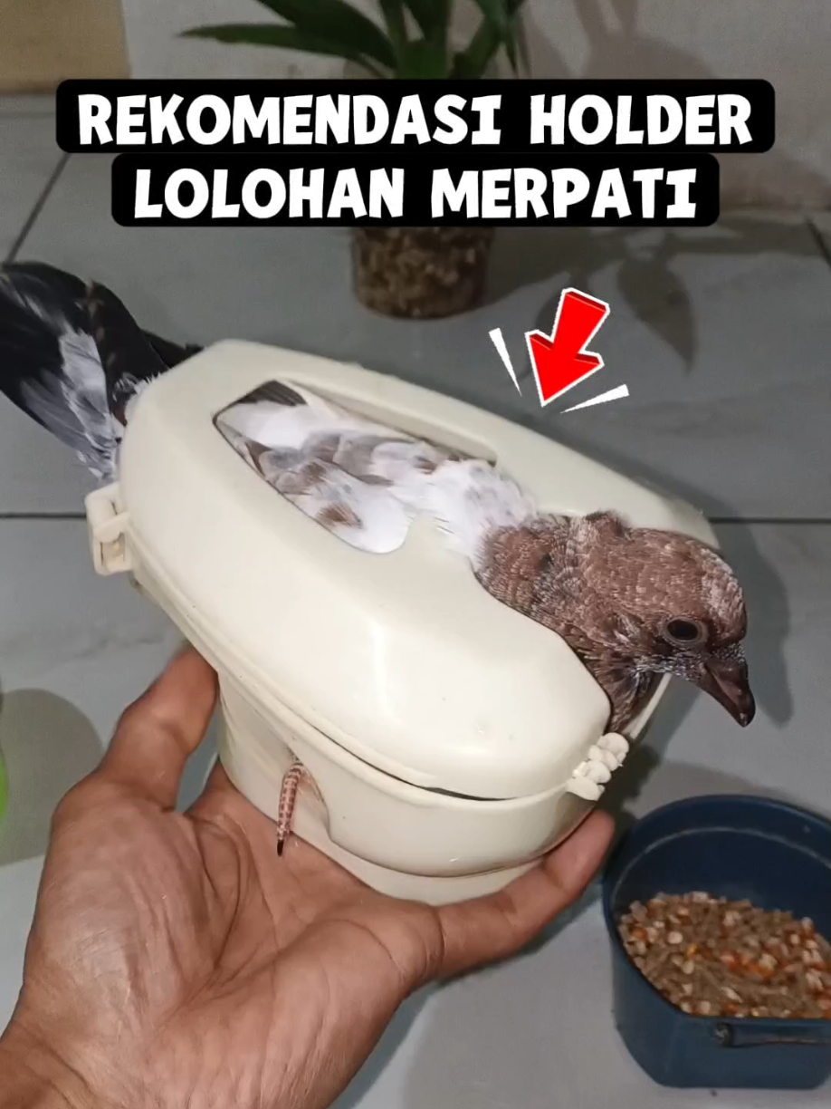 @BANG LEYON
