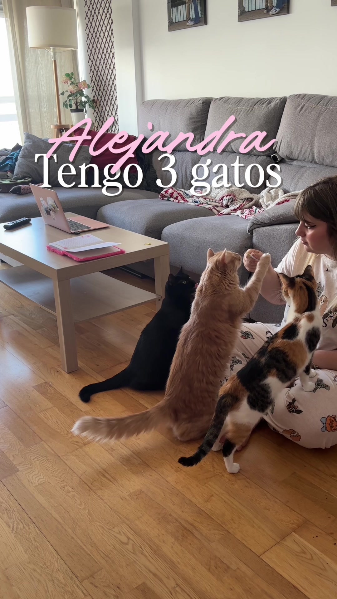 @- Alejandra  🐱💕