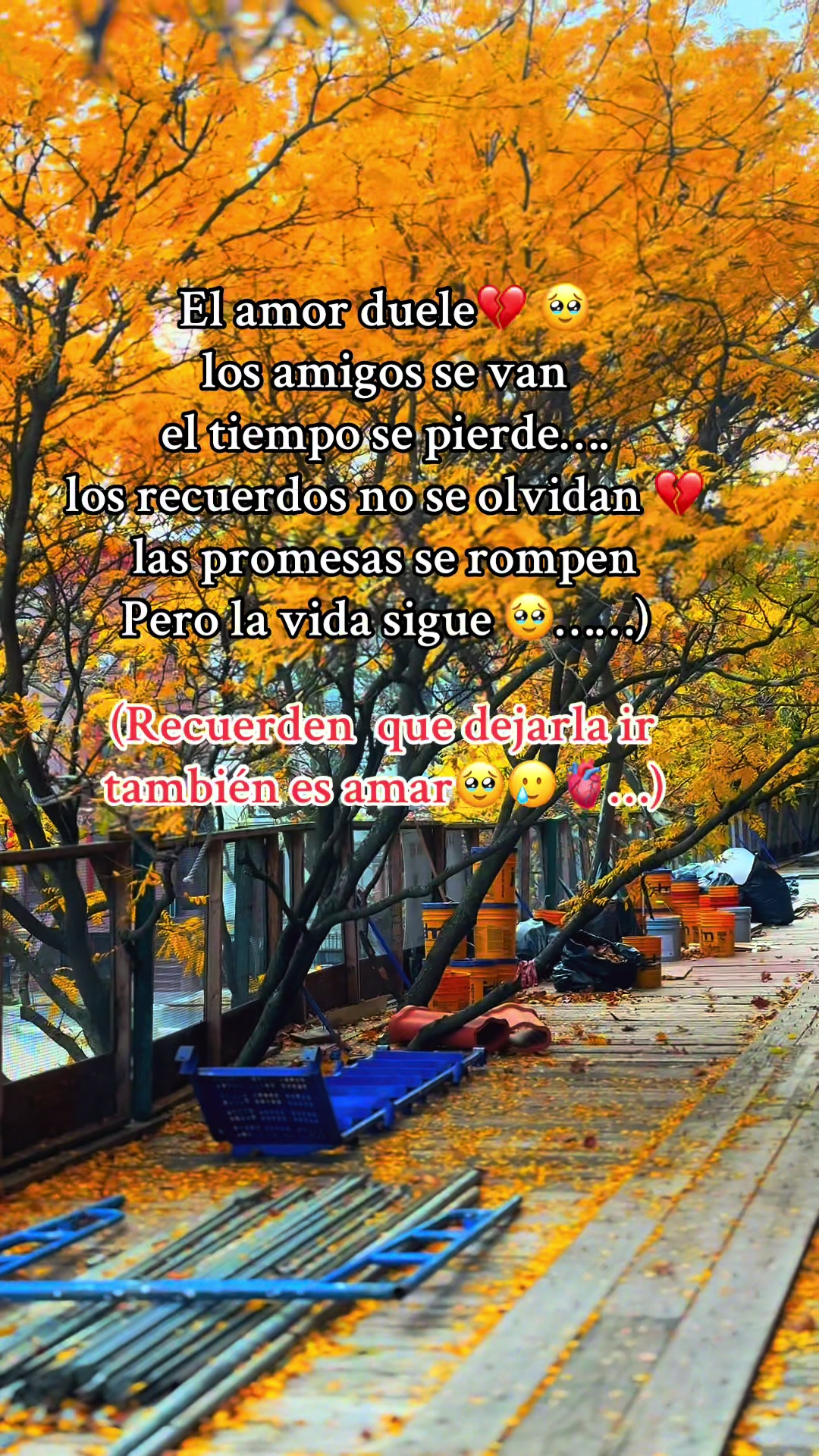 @🇪🇨🥷ŴIL_MG &times;͜&times; 🇺🇸🥷