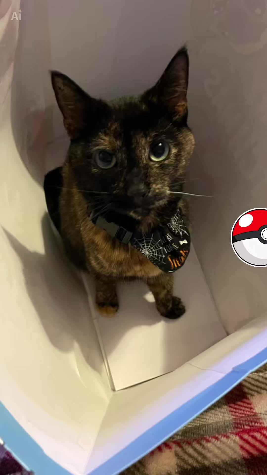 @Awesomepawsome2017