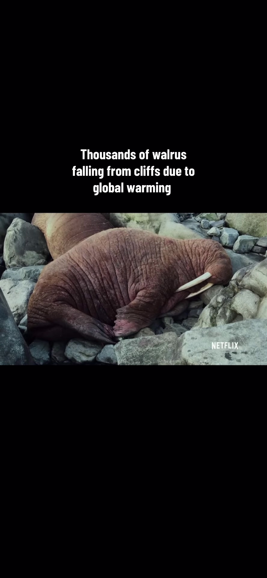 @savingtheglobe