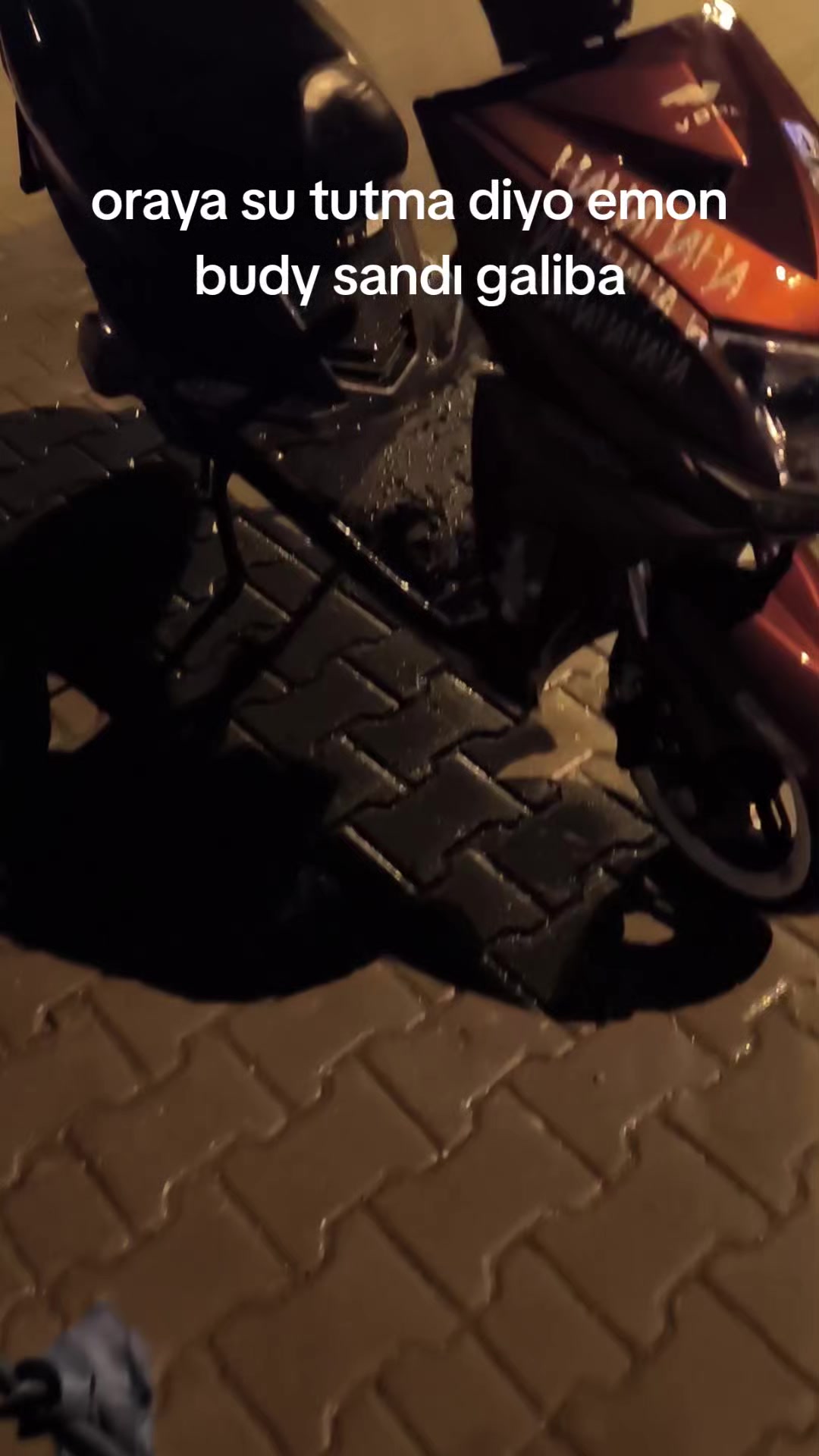 @selim sarıyiğit