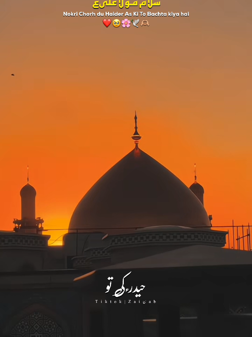 @𝐙𝐀𝐈ن𝐀𝐛ރ