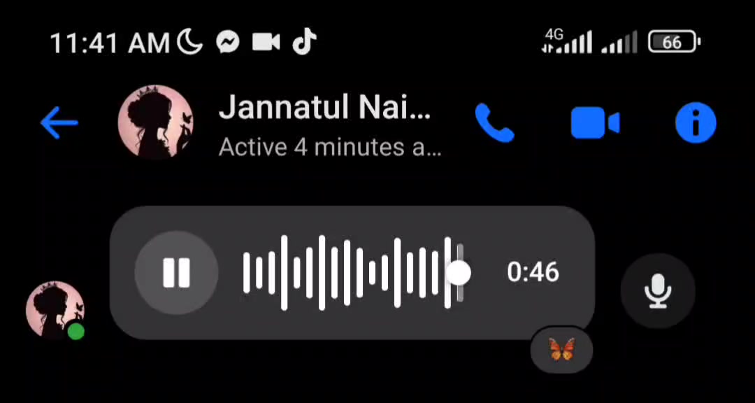@Voice Of Jannatul