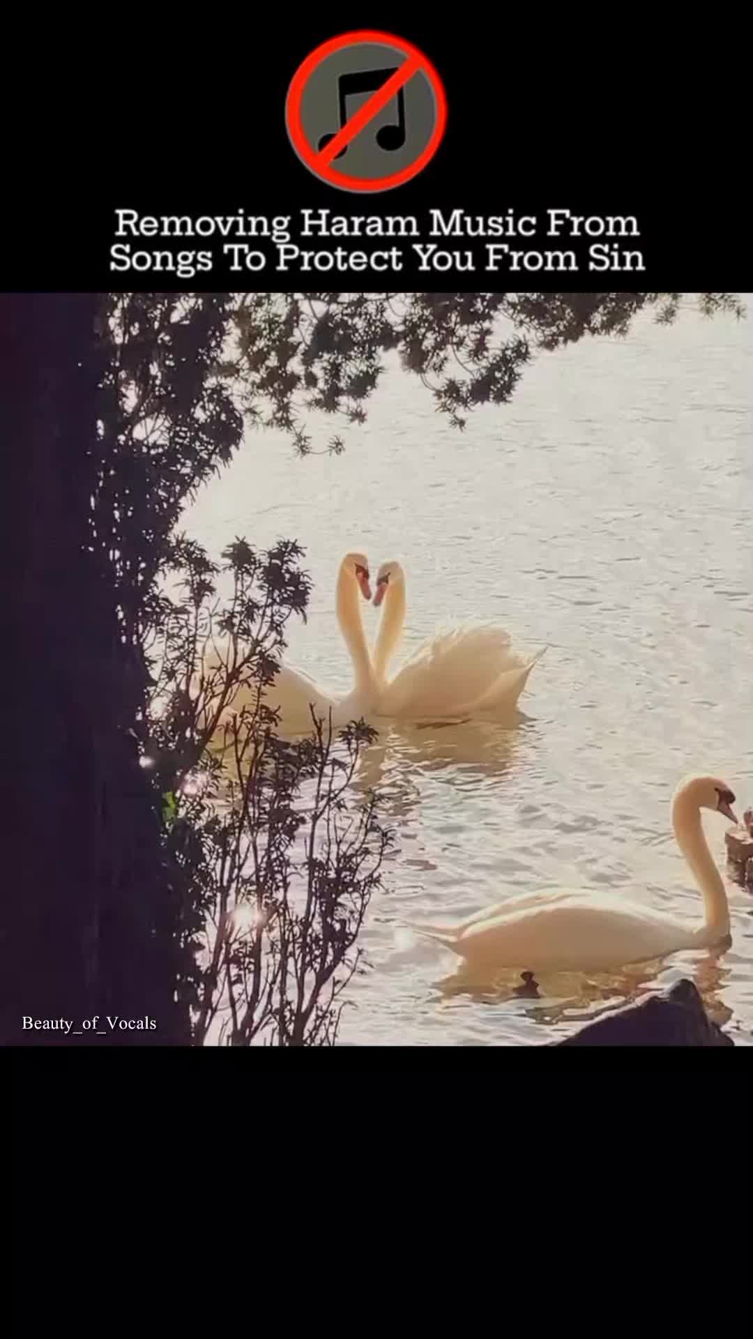 @𝐁𝐞𝐚𝐮𝐭𝐲_𝐨𝐟_𝐕𝐨𝐜𝐚𝐥𝐬