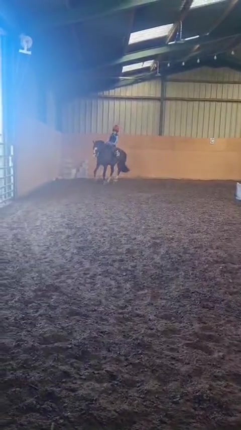 @Lels🐴🚜🦆