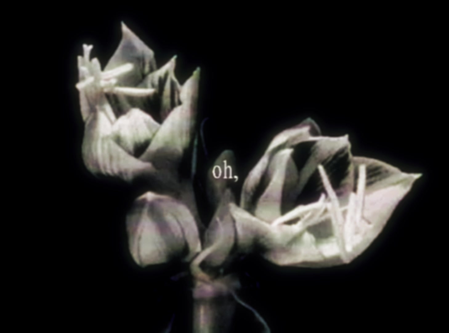 @_pixeditss