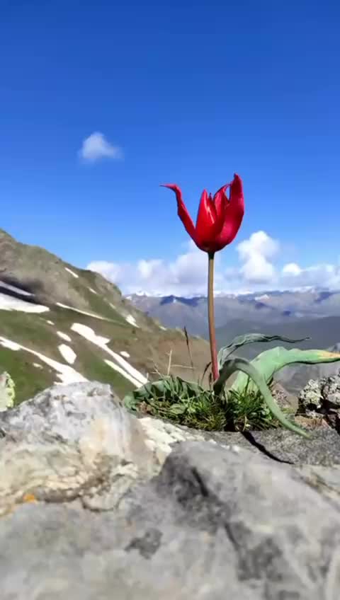 @ERENCAN4424
