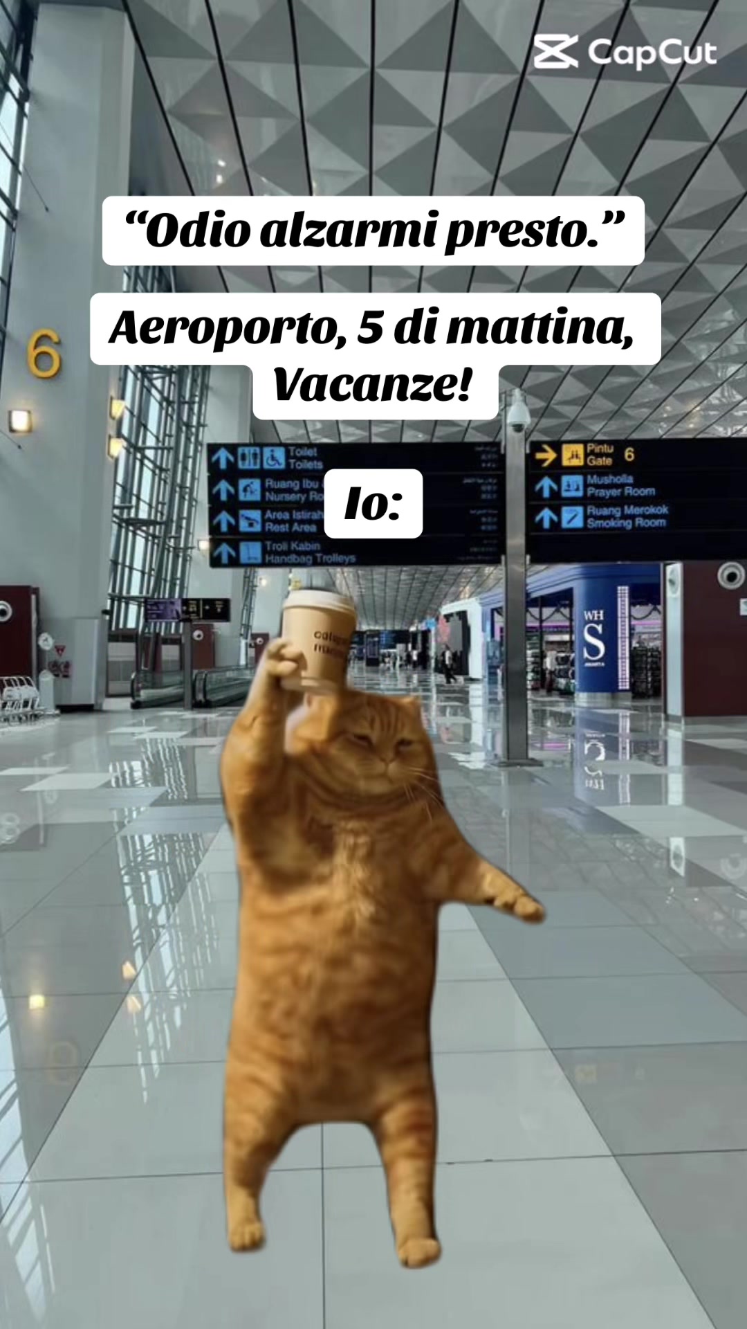 @IVANA🇪🇸🇮🇹