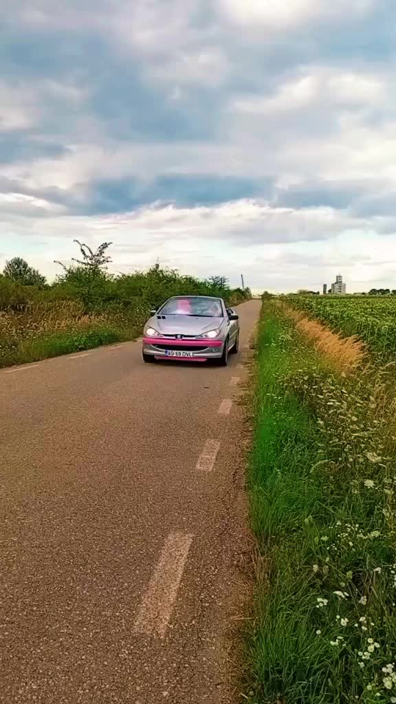 @NikoDVL
