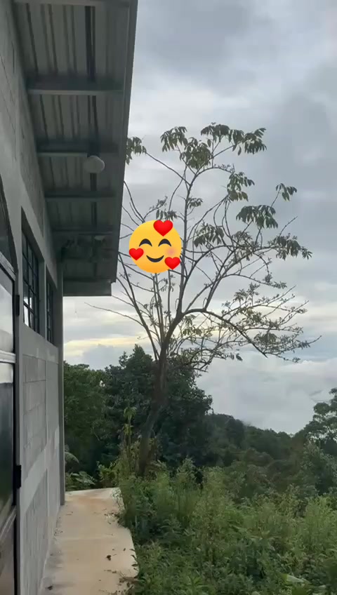 @Elena Ramos