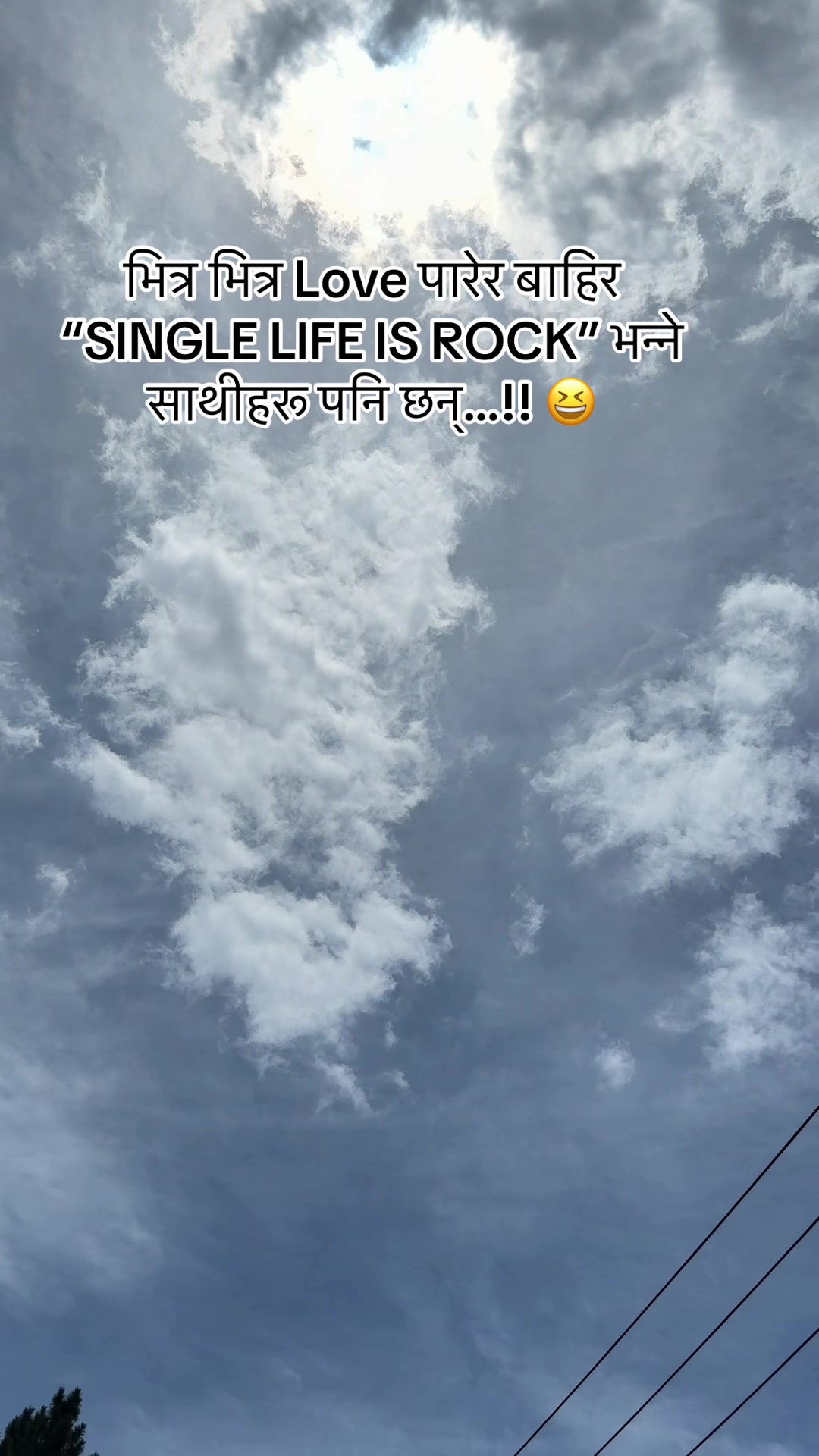 @🕊️