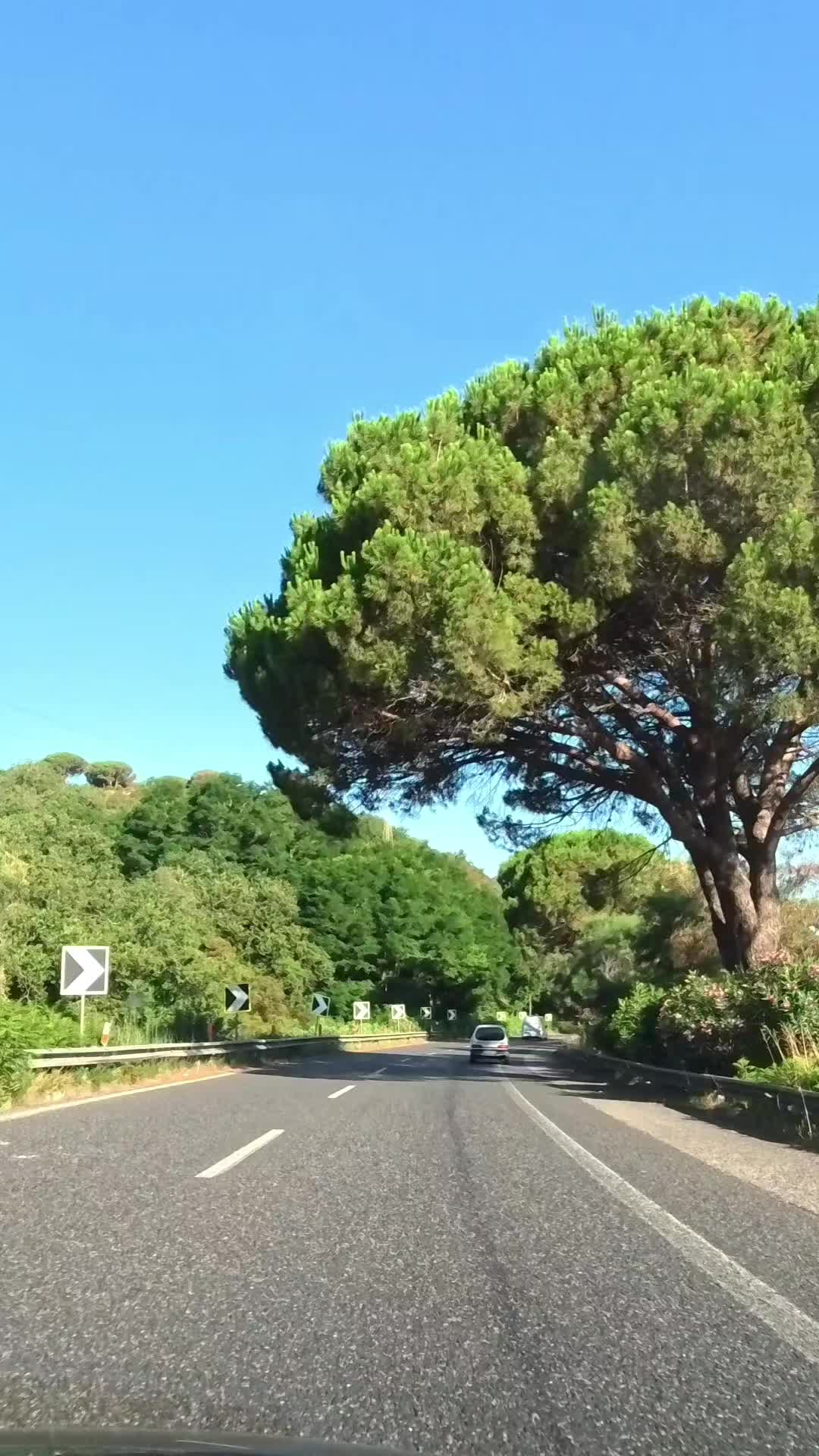 @Carmusicdance🇮🇹🎥