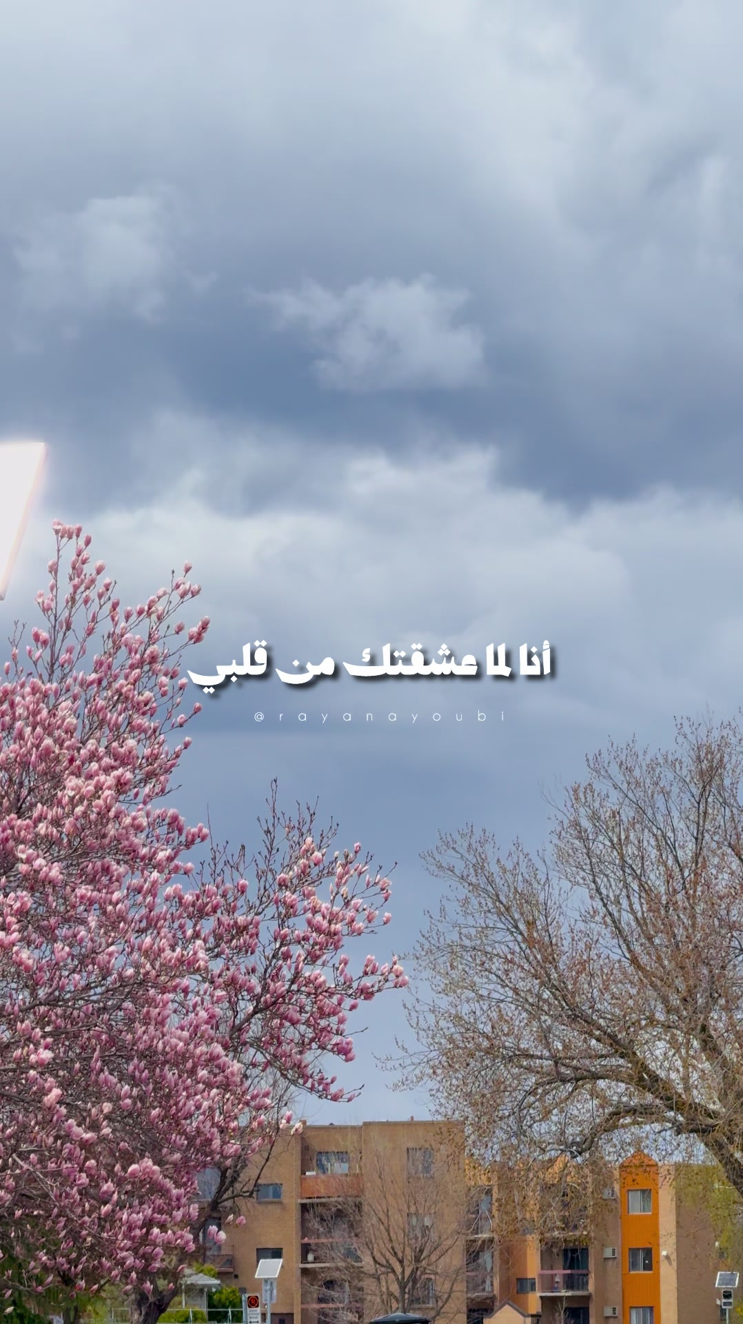 @Rayan El Ayoubi