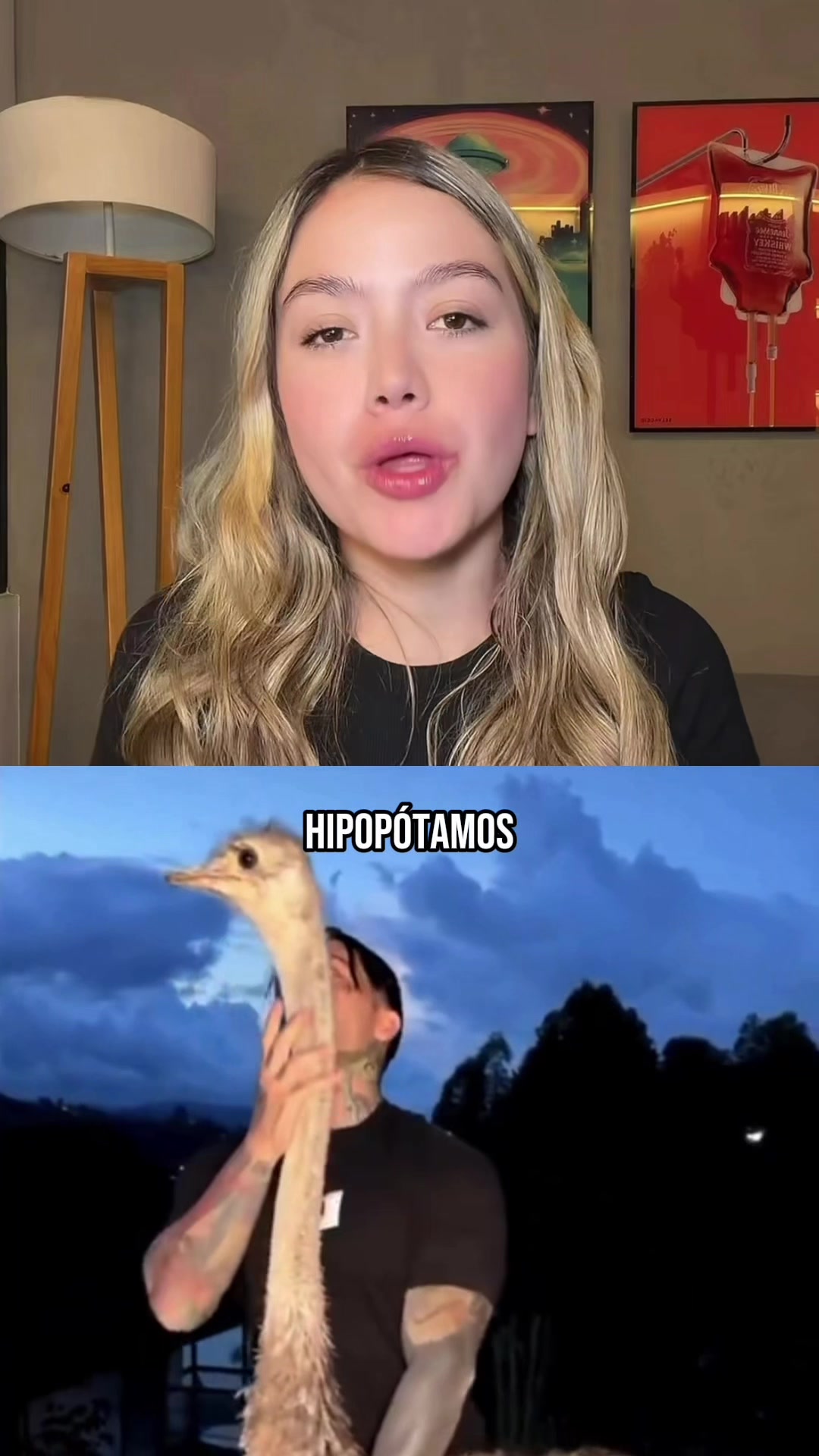 @Laura Camila Vargas