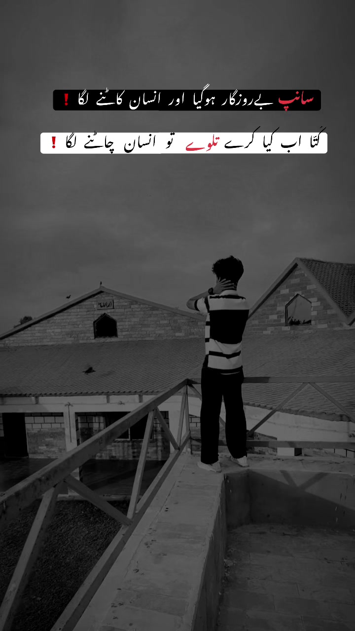 @Hasنain zai