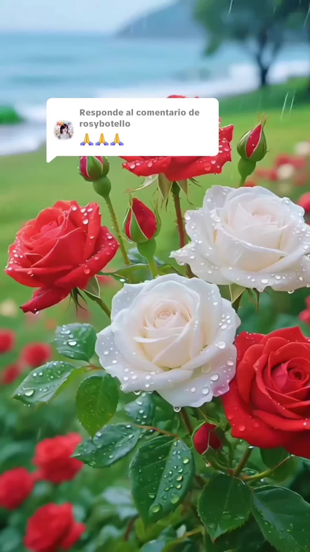 @๐ษแแฤฌษ๊โฑฟ๐