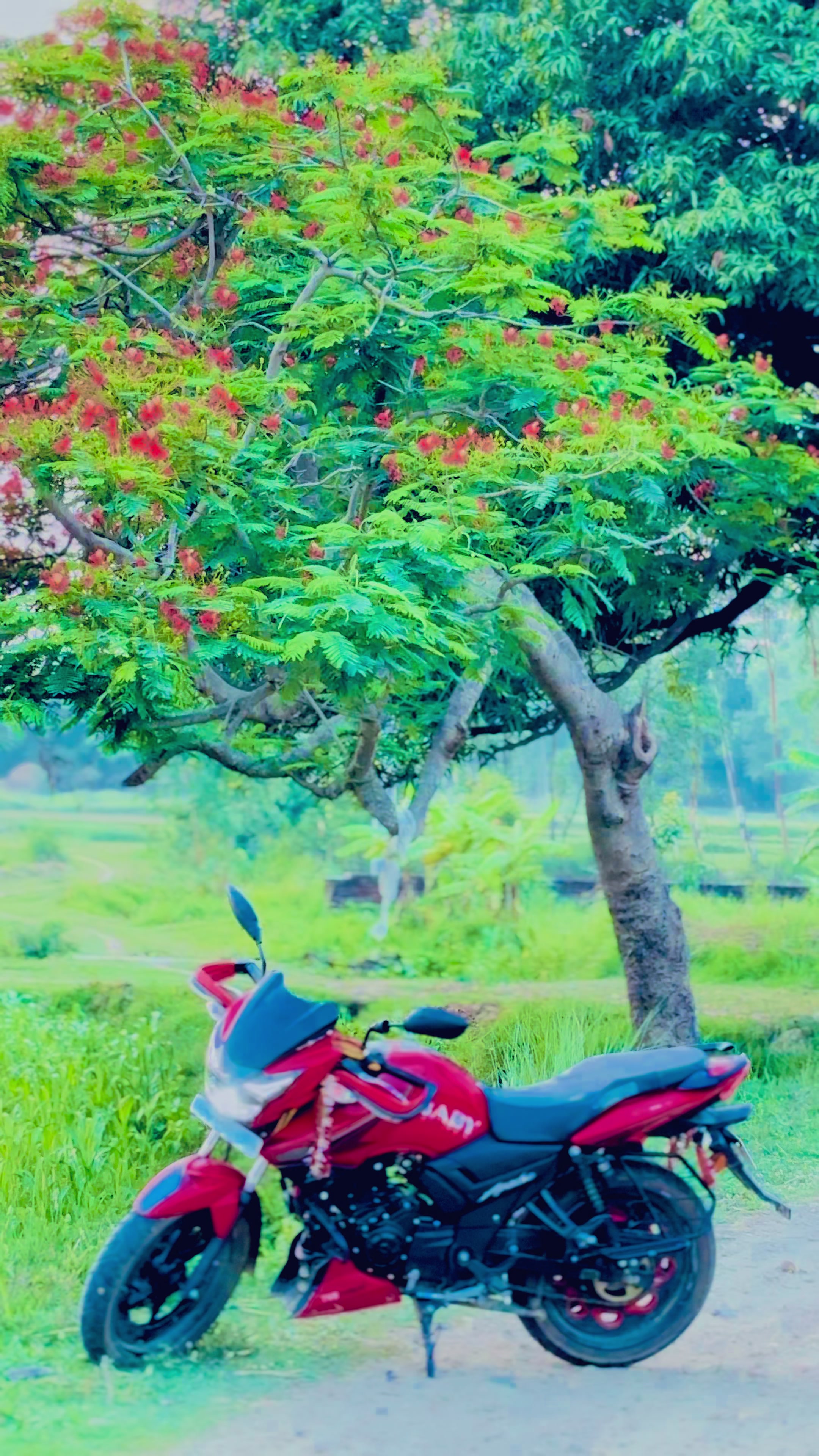 @ 🔥🥀Ṡ𝓪®𝚒𝚏ɓ𝓪cիⱥ🥀🔥 