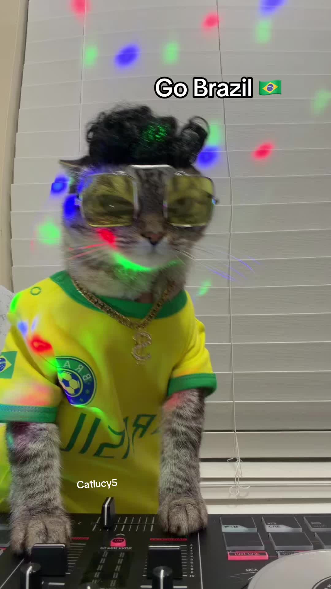 @Cat Lucy