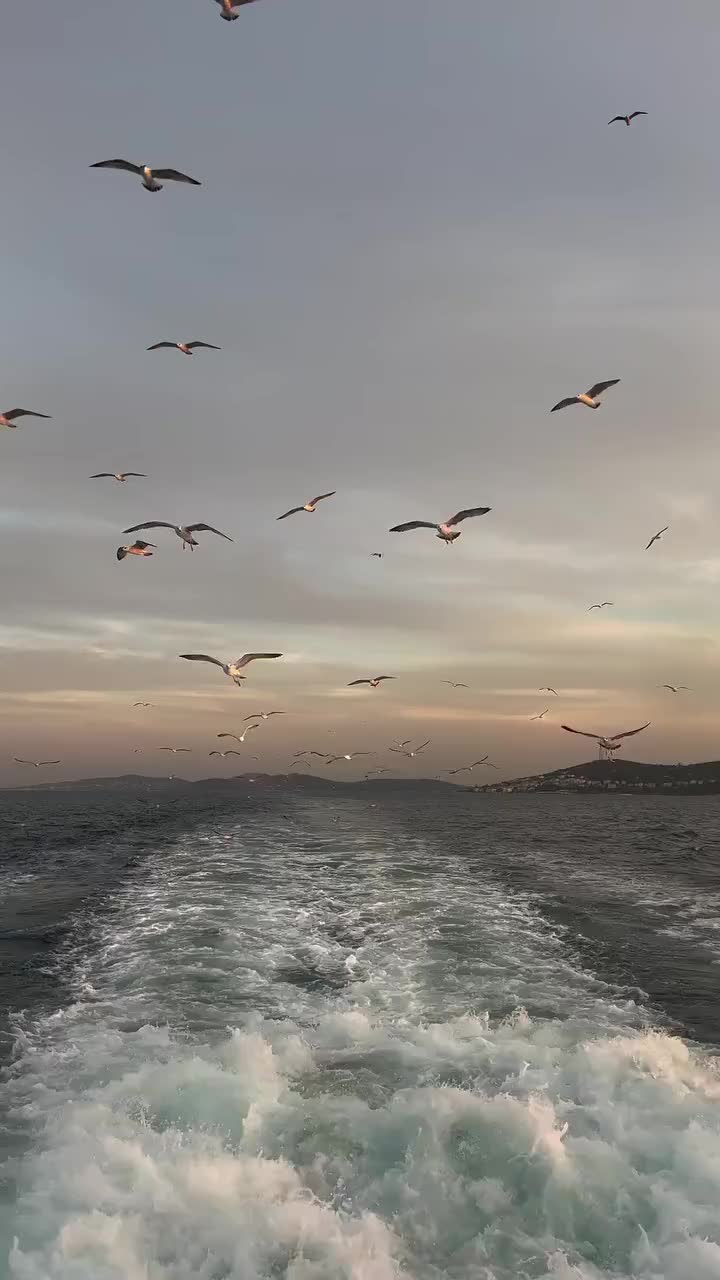 @آدم