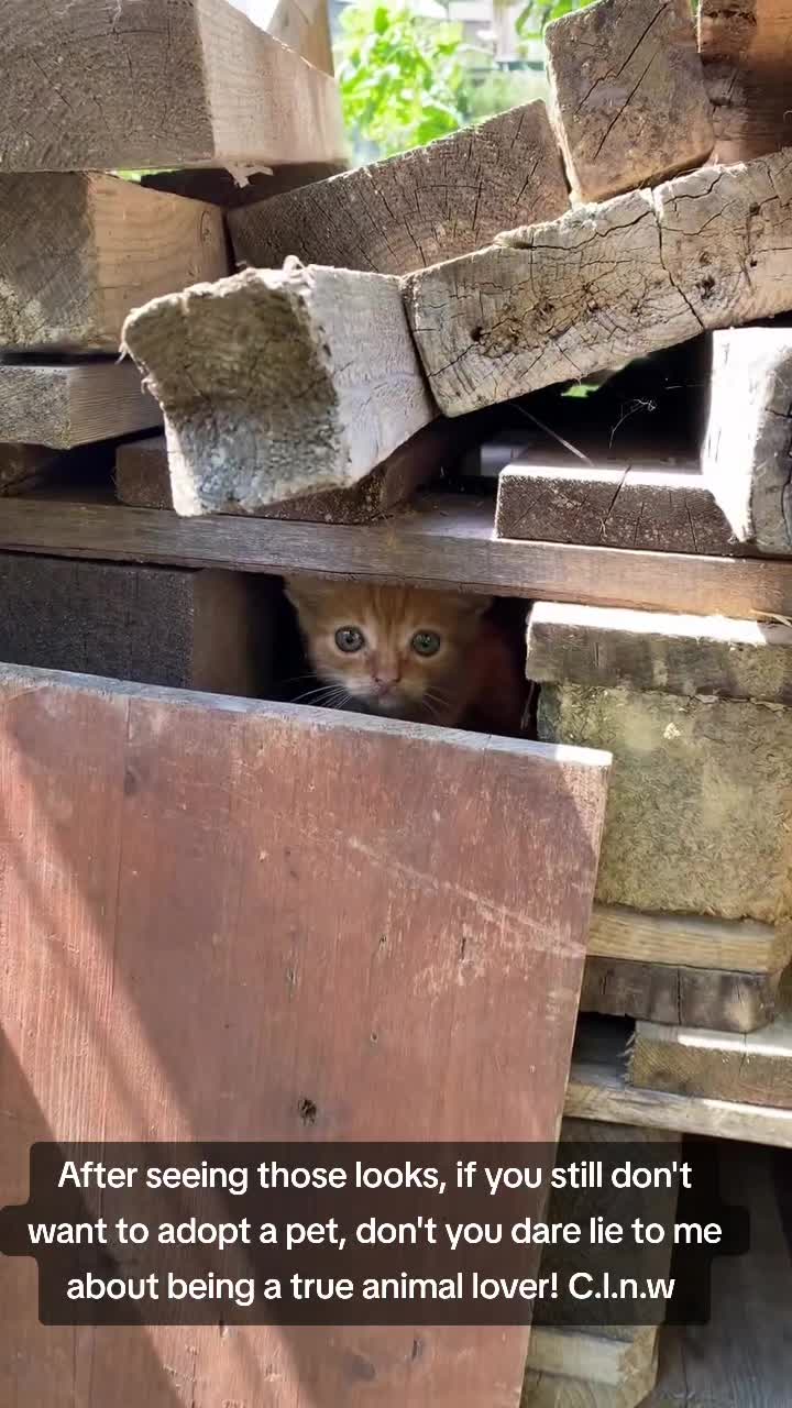 @cat_lover_naturwelt.m.p3
