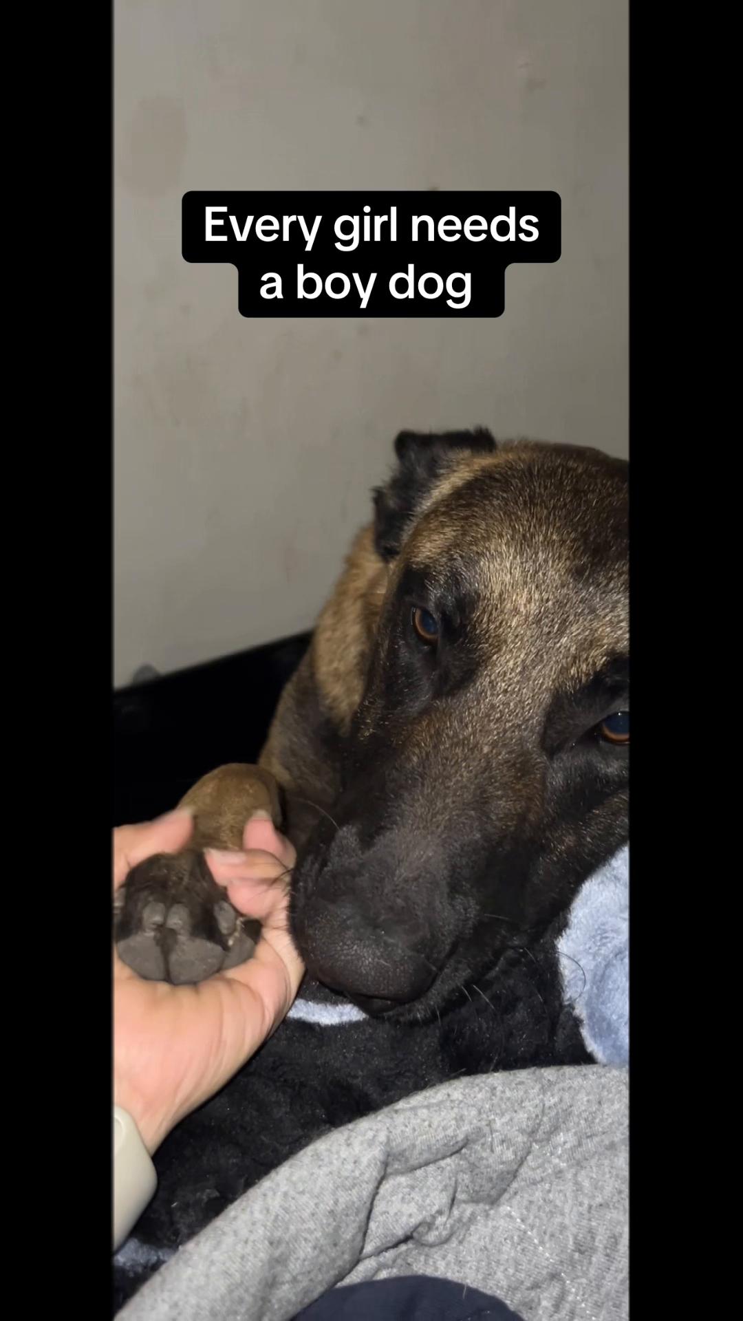 @lifeafter_loss