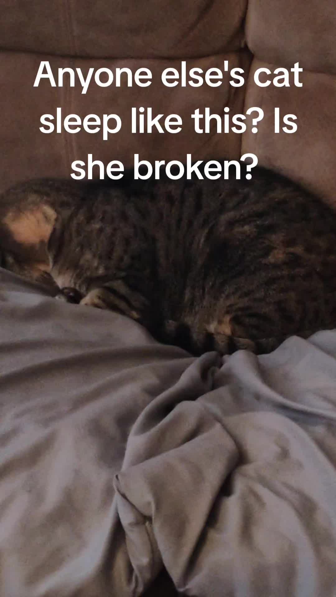 @YoUrMoM