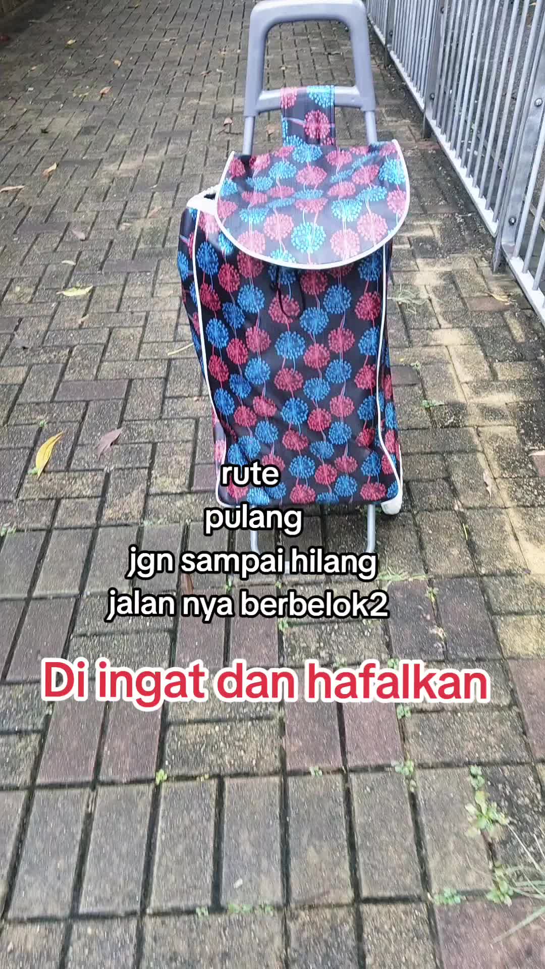 @Davirasayang