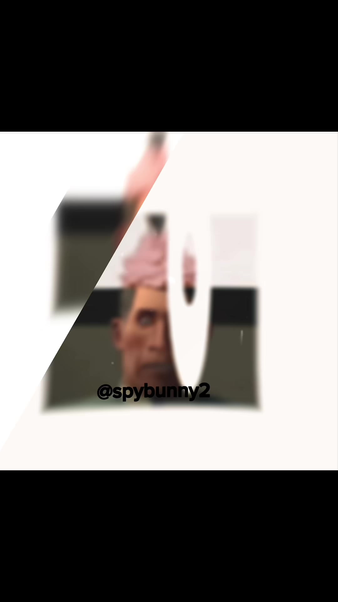 @spybunny2