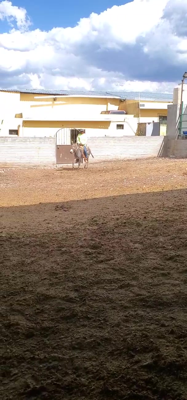 @YS SARABIA Y ALGO MÁS