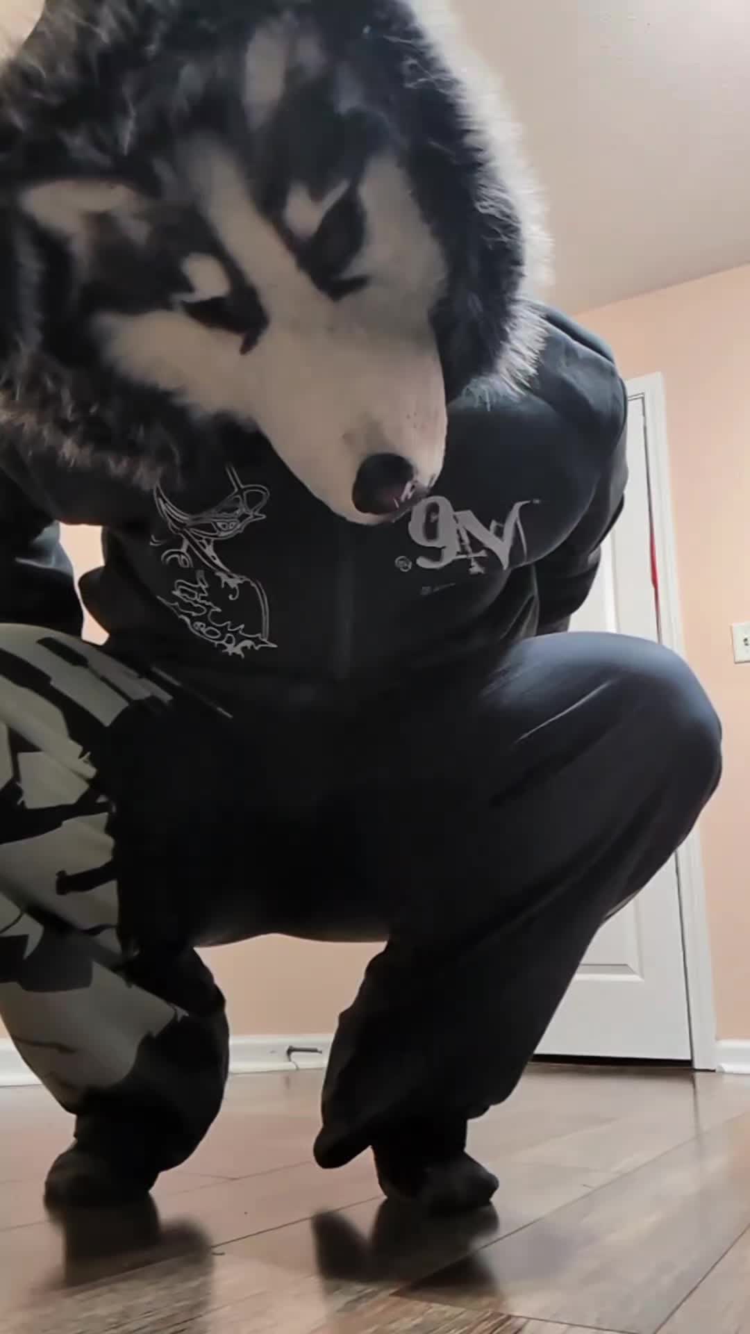 @𓃩[✦ HUSKY ✦ ]𓋹