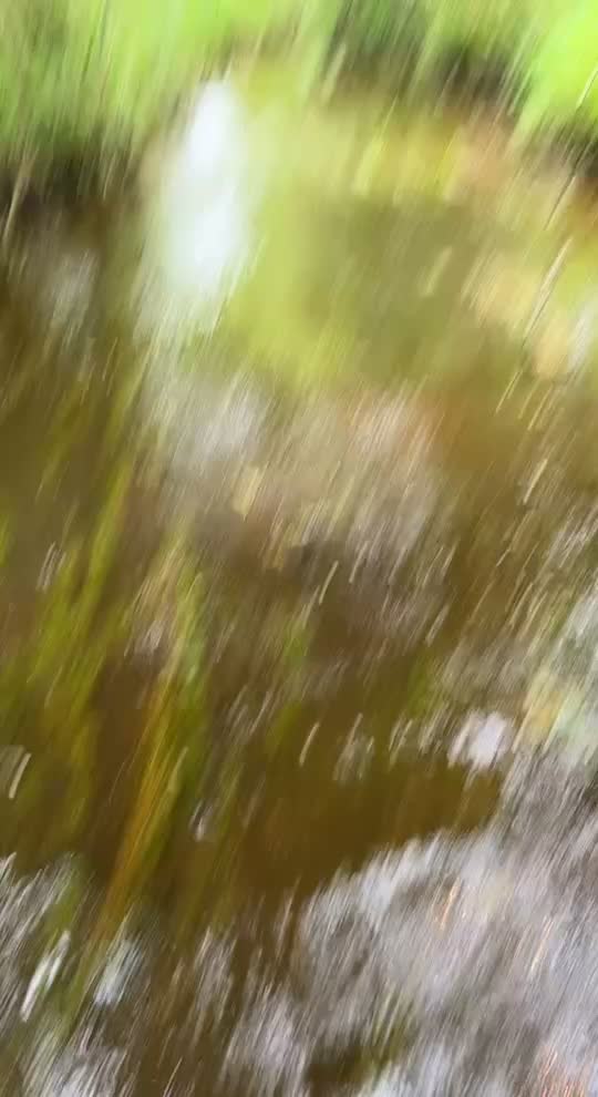 @Russooo