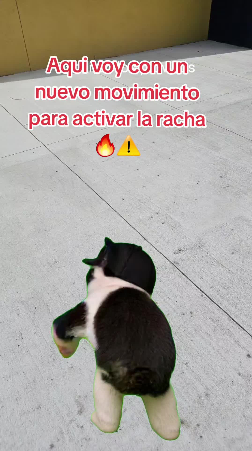 @Gabrielito 502