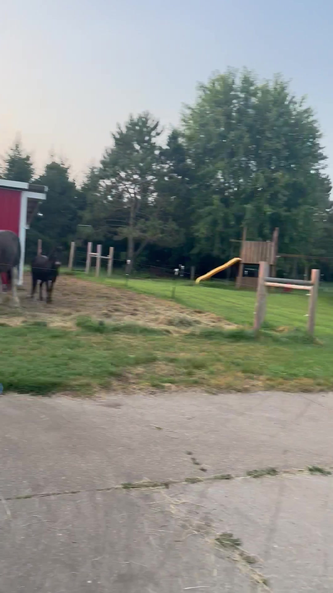 @Safe Place Pastures, Inc.