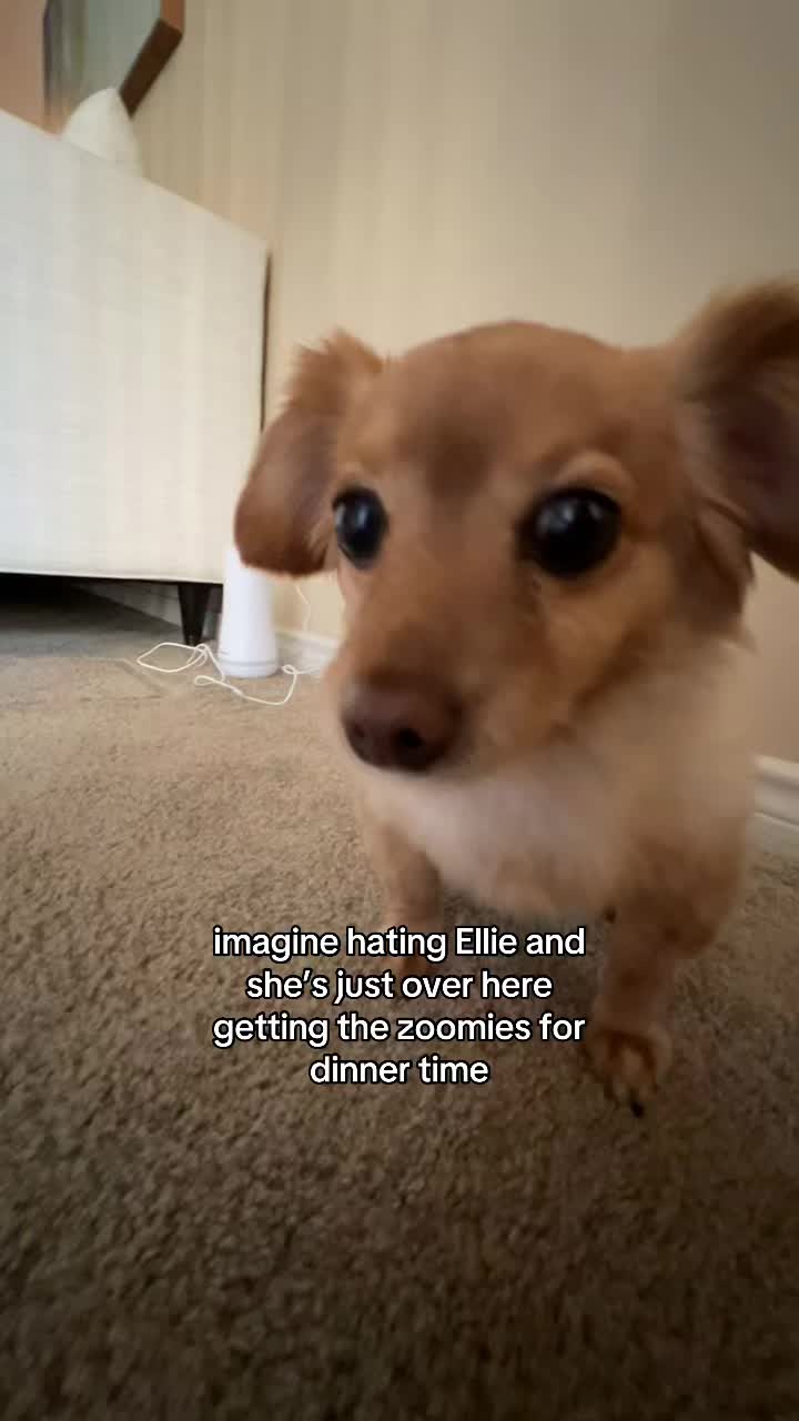 @Kelly & Ellie